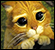 :_catpls: :_catpls: